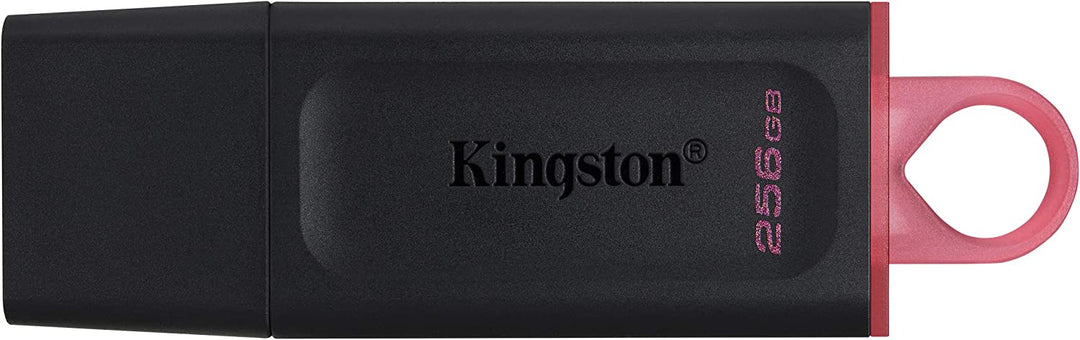 Kingston DataTraveler Exodia 256GB USB 3.2 Gen 1 Flash Drive (DTX/256GB)