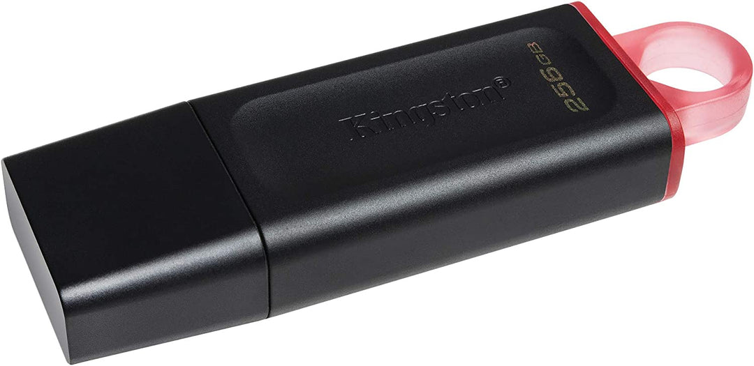 Kingston DataTraveler Exodia 256GB USB 3.2 Gen 1 Flash Drive (DTX/256GB)