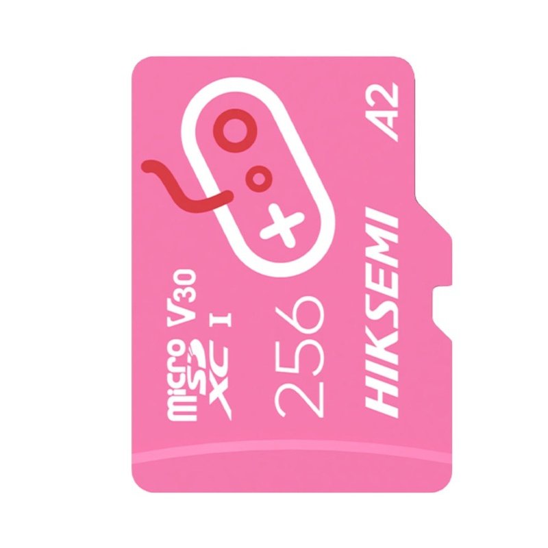Hiksemi City Fun 256GB Class 10 microSDXC Memory Card (HS-TF-G2-256G)