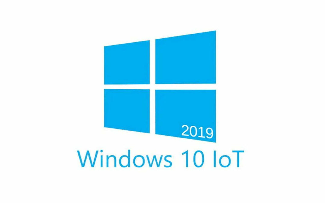 Microsoft Embedded Windows 10 IoT Enterprise LTSC 2019 (MUV00004)