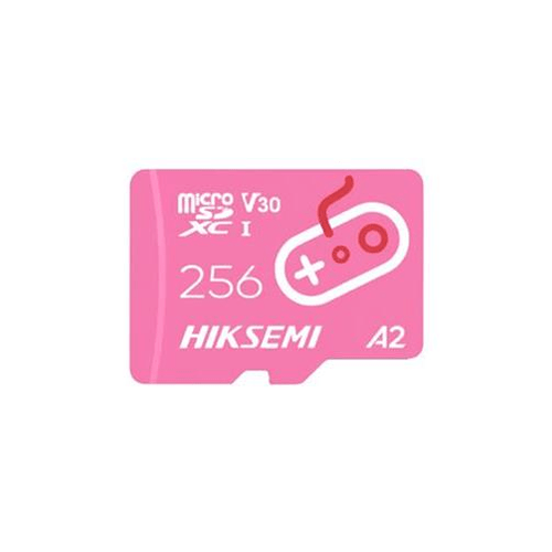 Hiksemi City Fun 256GB Class 10 microSDXC Memory Card (HS-TF-G2-256G)
