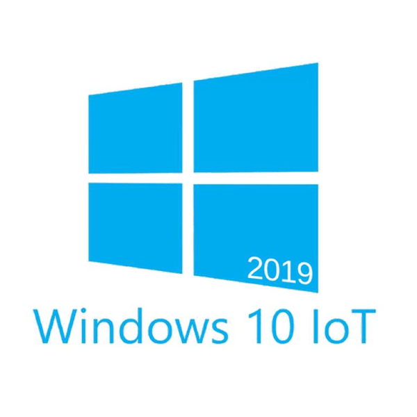 WIN 10 IOT ENT 2019 LTSC MULTILANG ESD OEI ENTRY
